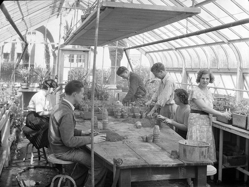 [Gardening students in greenhouse]