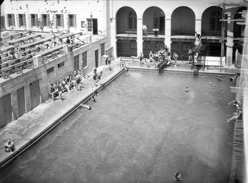 [College swimming pool with student swimmers]