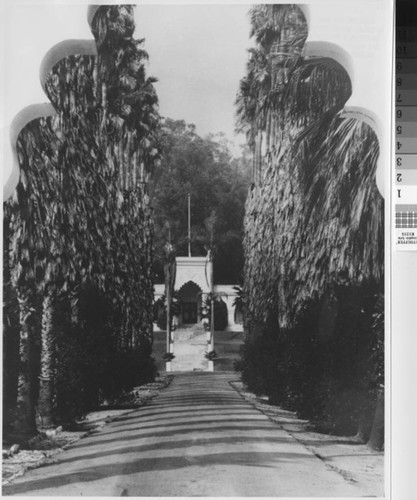 Brand Castle looking through front gate and palms