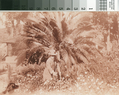 Leslie C. Brand in front of a palm tree picking flowers