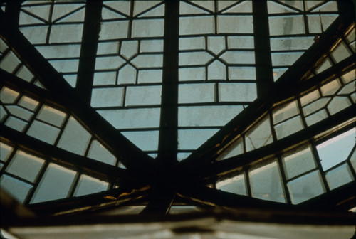 Greenhouse dome detail