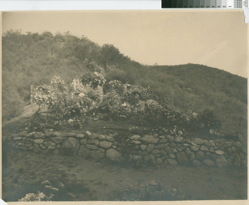 Leslie C. Brand's grave site