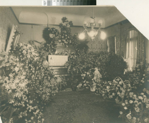 Leslie C. Brand's casket in drawing room, close-up and blury