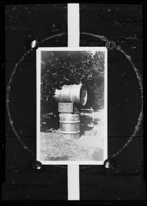 Fumigating barrels in orange grove, Southern California, 1932