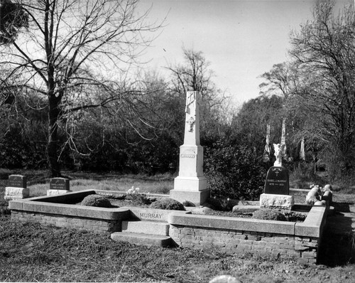 Murray Family headstone in Dublin's Pioneer Cemetery (c. 1950s), photograph