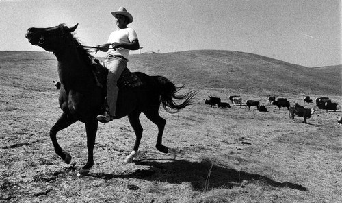 Hector Perez riding Doc's Buzz Bar at Tassajara park land, (1982), photograph