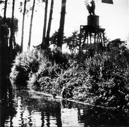 Pond and windmill in Dublin, (c. 1920s), photograph