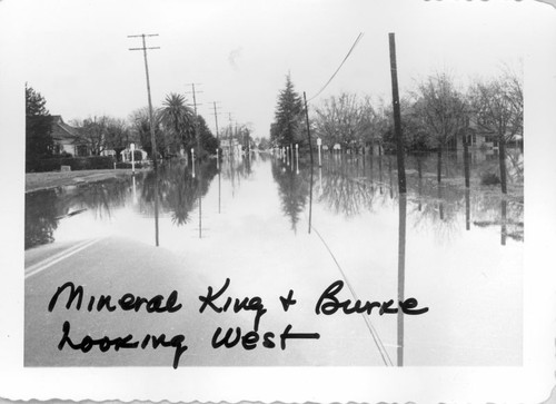 1955 Flood of Kaweah River, Visalia, Calif