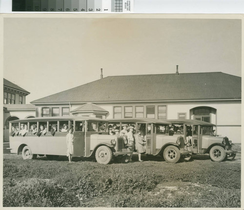 School Buses at Live Oak High School in Morgan Hill, California