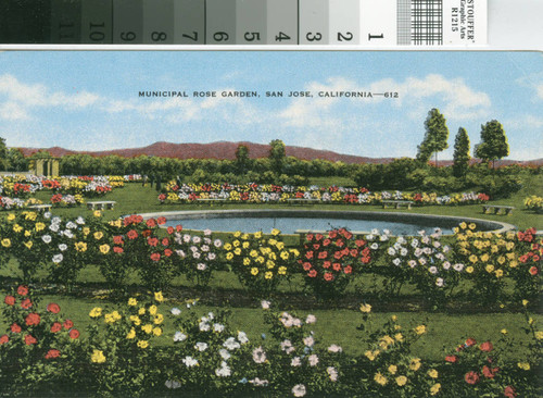 Postcard of the Municipal Rose Garden, San Jose, California