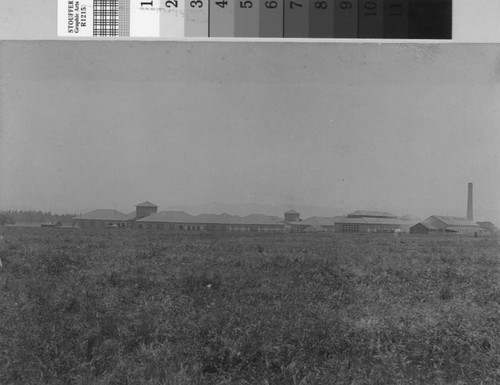 Early Photograph of Stanford University