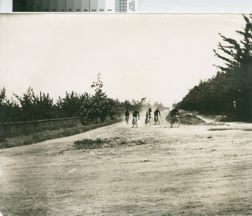 Bicycle Racers at Butcher's Corner, Sunnyvale