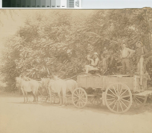 Men In Wagon On a Country Road