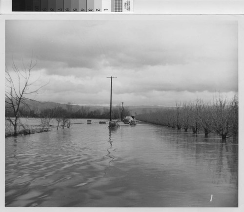 Flooded Road Near Agnews State Hospital