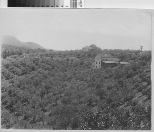 Farm Buildings and Orchards in the Santa Clara County Foothills