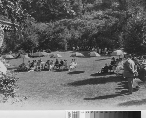 Outdoor Gathering At Villa Montalvo