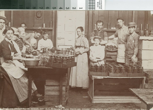 Packing Peaches Into Glass Jars at the Ainsley Packing House