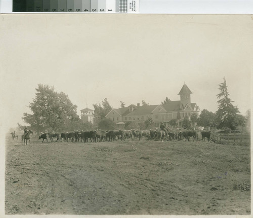 Bloomfield Ranch, Gilroy