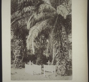 Abetifi graveyard
