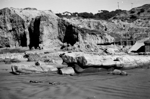 Rock formation called "Elephant Rock" and cliffs near the Scripps Institution of Oceanography