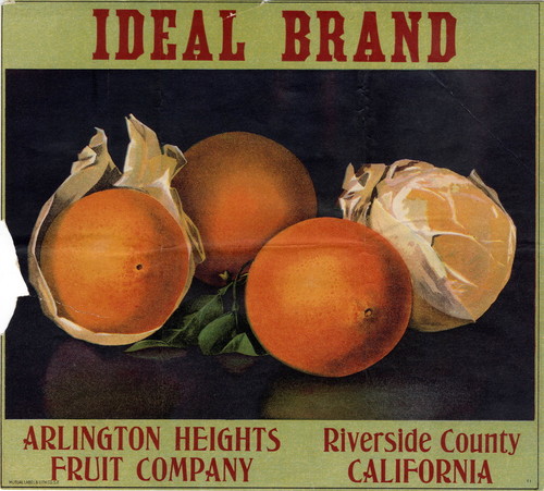Crate label, "Ideal Brand." Arlington Heights Fruit Company. Riverside, Calif
