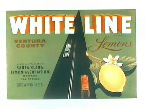 White Line Brand