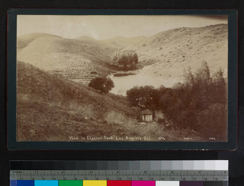View in Elysian Park, Los Angeles, Cal. 1894