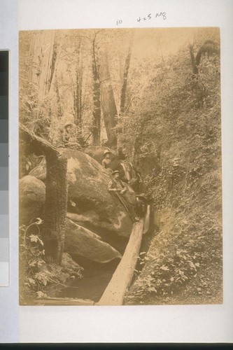 A Trip to the Gorge, Boulder Creek, Santa Cruz Mountains, July 1887