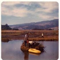 Photographs of landscape of Bolinas Bay. "Jon Kaempfer, Hugh Evans, Bill Pritchard, Irene Neasham, Bolinas Lagoon, Sept. 2, 1973"