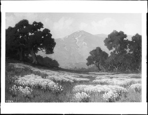 Painting by John M. Gamble, depicting a field of California poppies with a mountain in the background, ca.1920