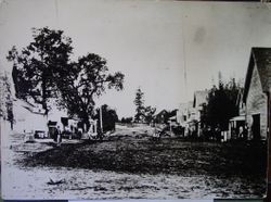 Main Street Sebastopol, 1874