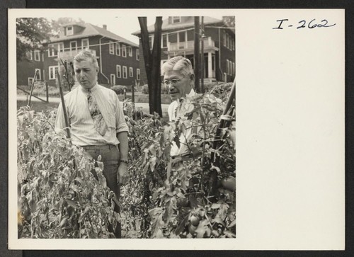 Mr. Setsujiro Uno shows Roland A. Bernard, New England Farm Placement Officer, his Victory Garden which he has grown in
