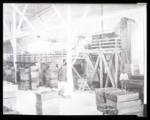 FMC Equipment Peach and Fig Cannery