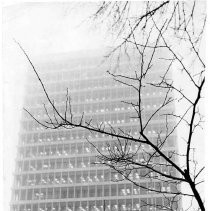 View of State Office Building no. 9 through the fog