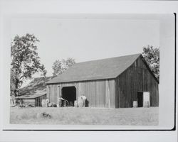 Barn at Piezzi Ranch near Santa Rosa