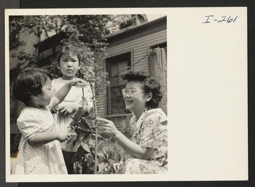 Mrs. Chick Uno with her daughters, Sheila and Naomi, in their flower garden at their home in Hyde Park, Mass