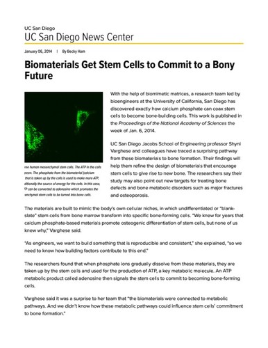 Biomaterials Get Stem Cells to Commit to a Bony Future