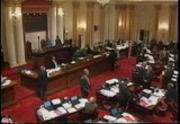 Senate Floor Session - SB 126/Polanco
