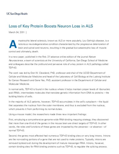Loss of Key Protein Boosts Neuron Loss in ALS