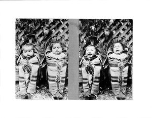 Montage of two photographs of two Washoe Indian babies in papoose carriers, ca.1898