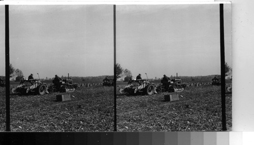 Digging Potatoes by machine, Northeastern Ohio