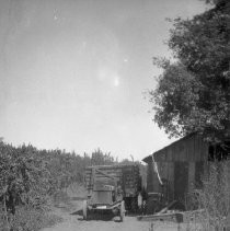 Truck and packing shed of Valley Vista Orchard