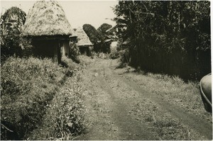 Road of the Grassfield region, in Cameroon