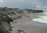 Sand dunes along the shore