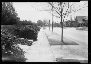 Sidewalk in front of Norman Sterry residence, 134 South Rossmore Avenue, Los Angeles, CA, 1935