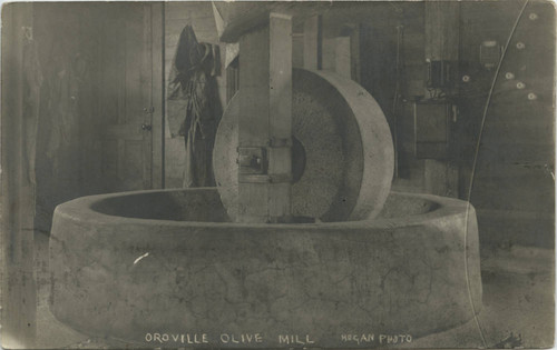 Olive Mill grindstone