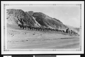Twenty-mule hitch in front of the Borax plateaus in Death Valley, ca.1900-1950