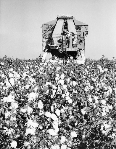 Cotton picking machine, front view