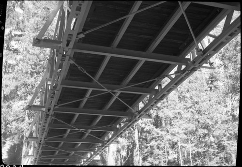 Bridges, Steel trail bridge over South Fork at Bubbs Creek. Showing underside construction