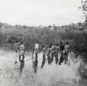 Outing of boys scouts, in Madagascar